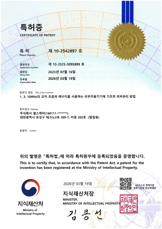 교차 초음파 기술 특허 문서